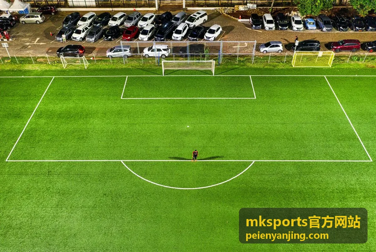 MK Sports官方网站运动视觉球类场景